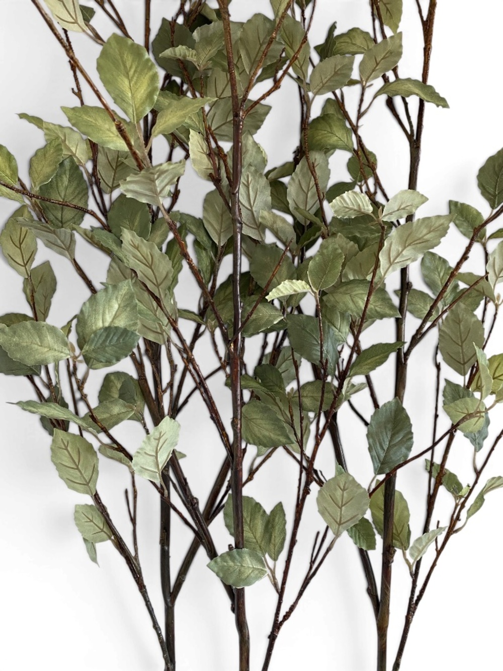 Crate & Barrel Faux Sage Green Leaf Branches 66" Set of 3 NWT